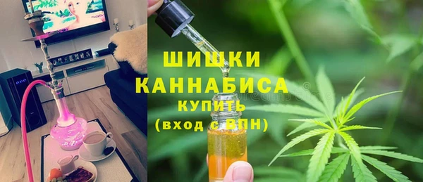 экстази Богданович